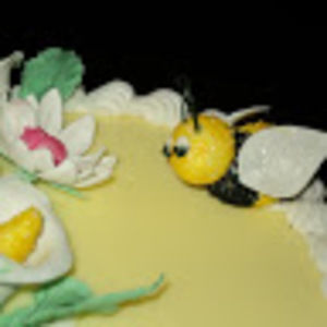 Meet your Posher, Ruth